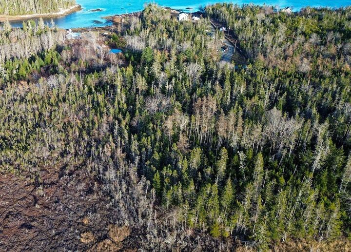 Property Photo:  Lot Pleasant Point Road  NS B0T 1L0 