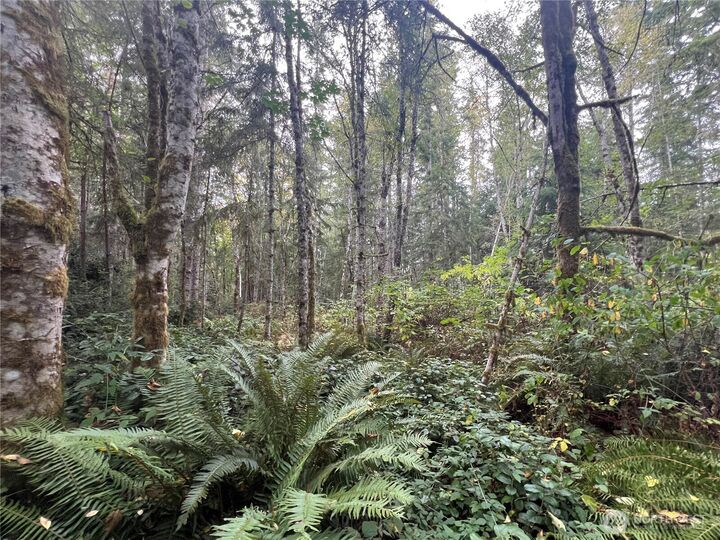 Property Photo: 2 Xx View Drive NE WA 98370