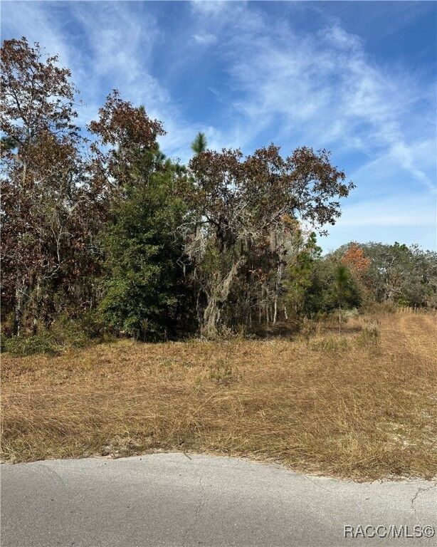 Property Photo: Lot 2 NE 151st Terrace FL 32696