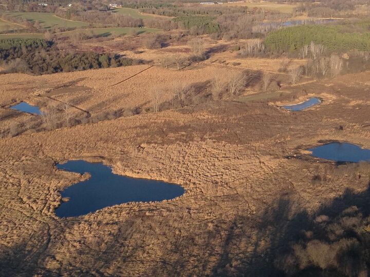 Property Photo:  92+/- Acres State Road 49 Acres  WI 54941 