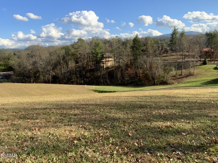 Property Photo: Lot 74 Max Ridge Lane TN 37862