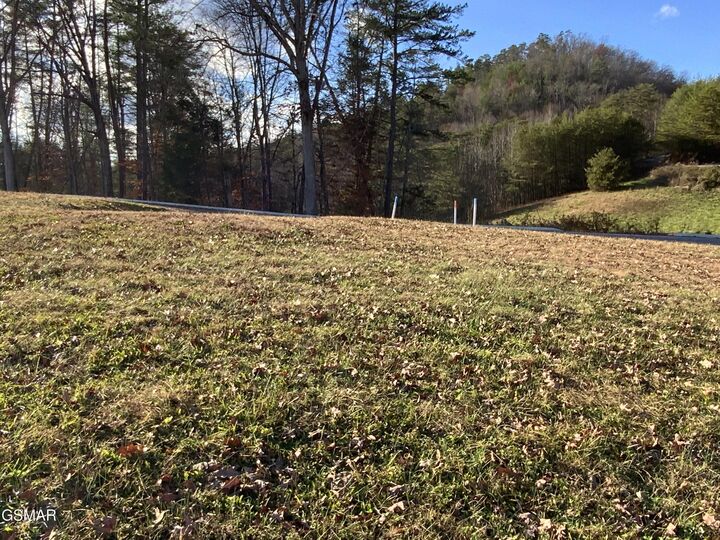 Property Photo: Lot 71 Max Ridge Lane TN 37862