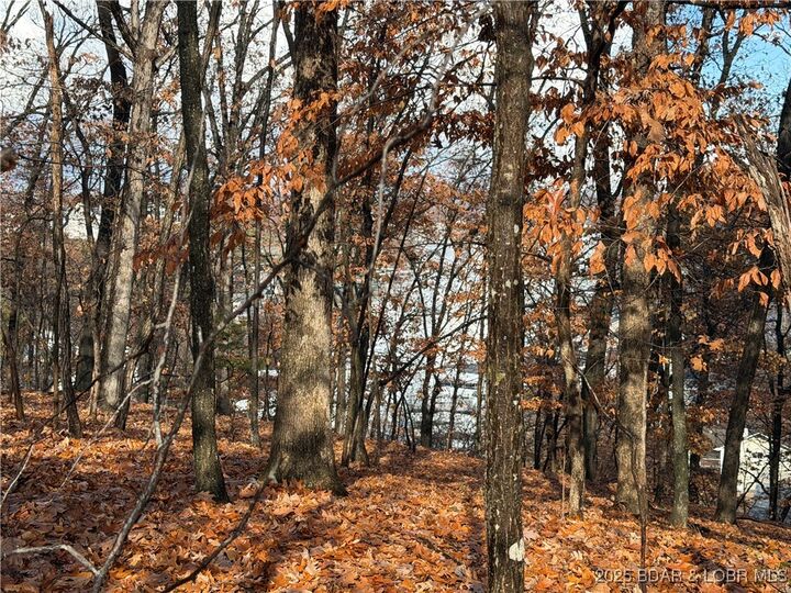 Property Photo: Lot 46 Carol Road MO 65049