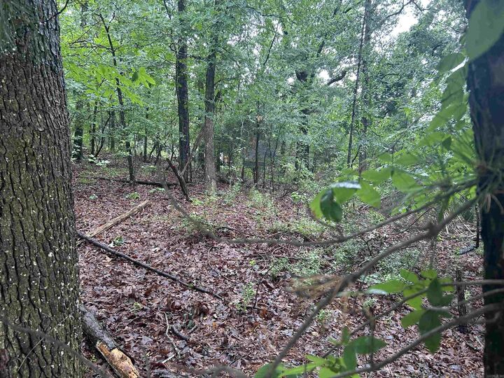 Property Photo: 26 Norfork Drive AR 72113