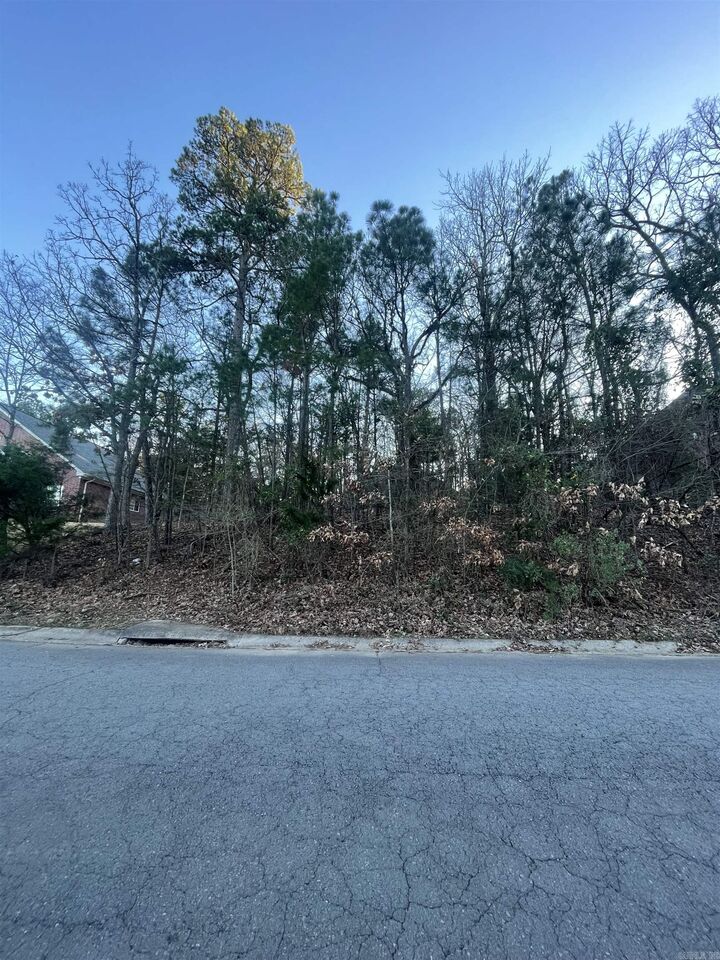 Property Photo:  26 Norfork Drive  AR 72113 