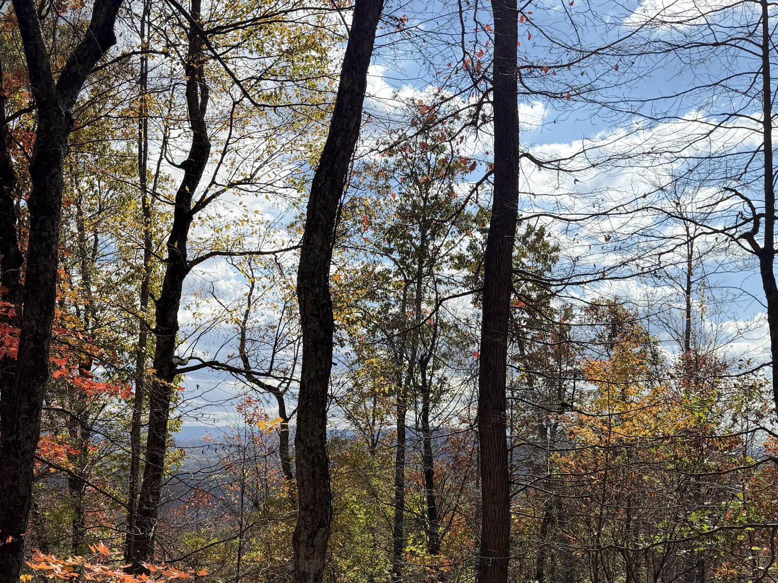 Property Photo:  Muddy Creek Mountain Rd  WV 24901 