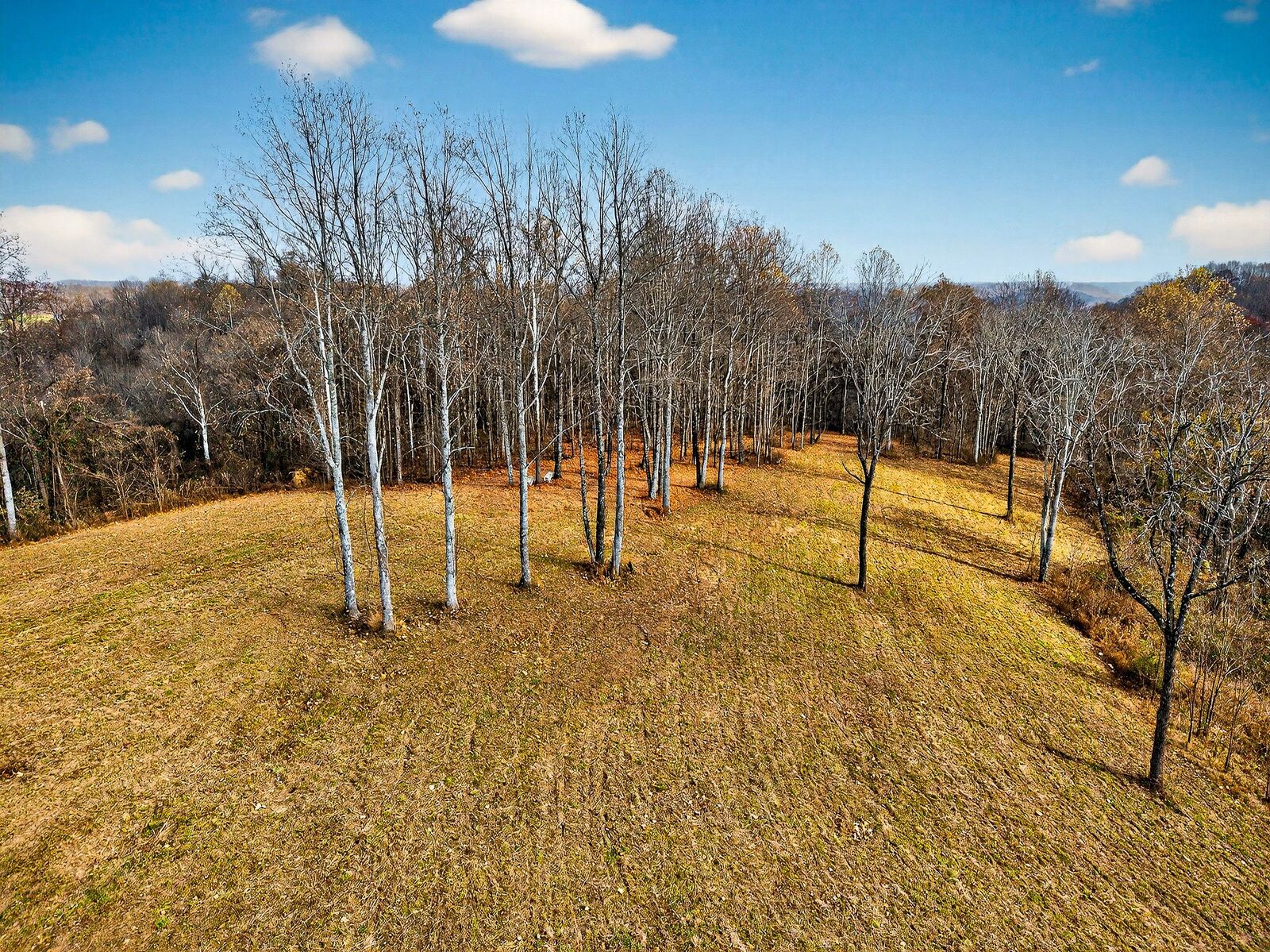 Property Photo:  4187 Gladdice Hwy  TN 38562 