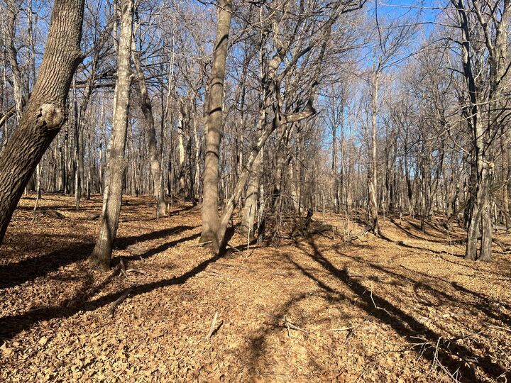 Property Photo: Tbd Moe Hall Road NW MN 56332