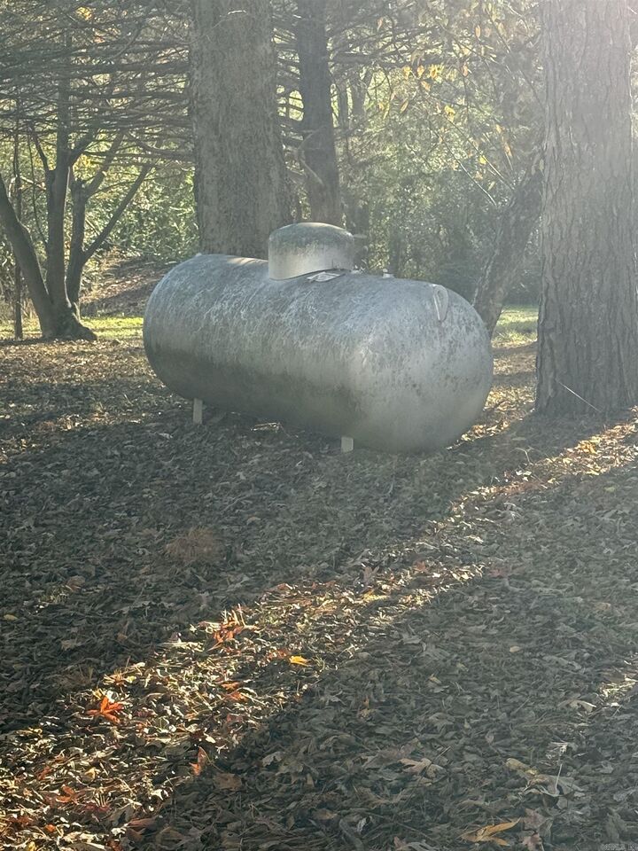 Property Photo: 37 Park Circle AR 72532