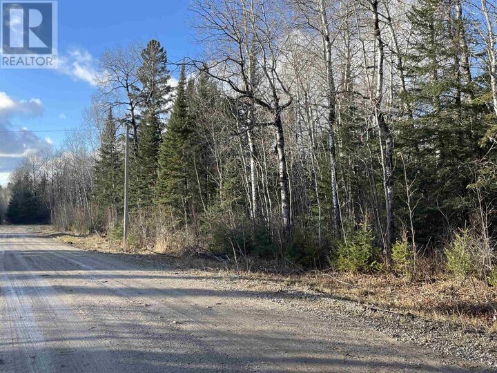 99 Shelley Lane  Dryden ON P8N 2Y4 photo