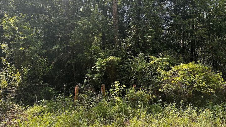 Property Photo:  S05350 Wingfield Drive  TX 77657 