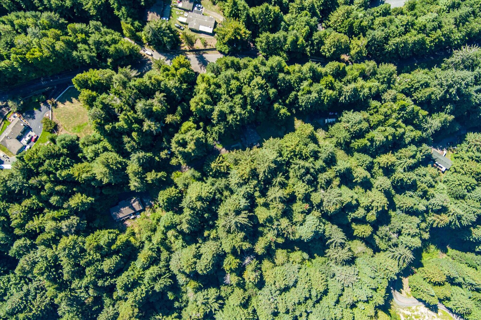 Property Photo: 5423 Cummings Road CA 95503