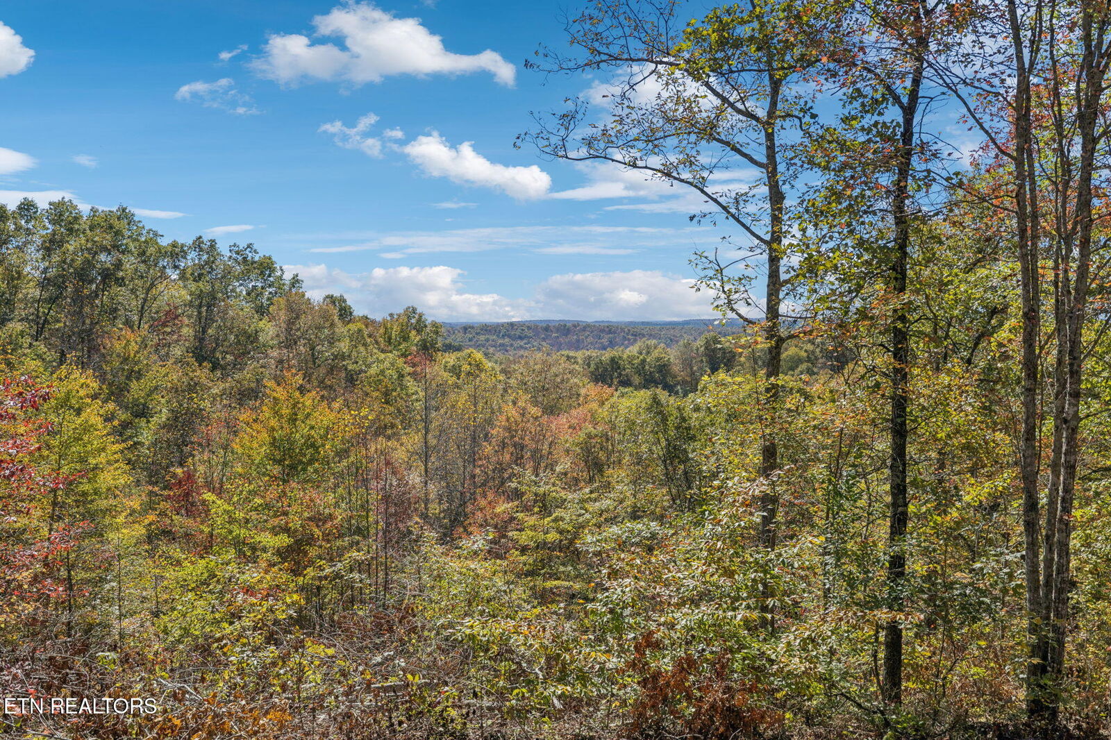 Property Photo:  Sheep Ranch Rd  TN 37852 