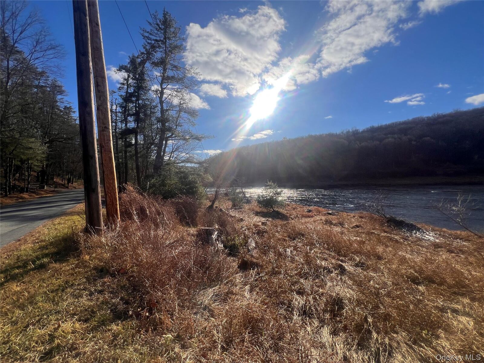 Property Photo:  Hankins Rd  NY 12764 