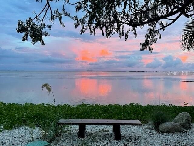 2158 Blossom Way S  St Petersburg FL 33712 photo