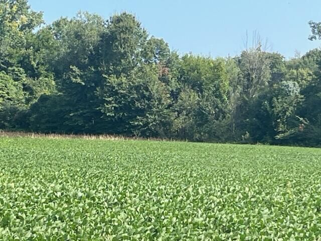 Property Photo: Wilson Road MI 49117