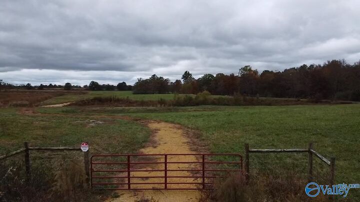 13.9 Acres County Road 429  Fyffe AL 35971 photo