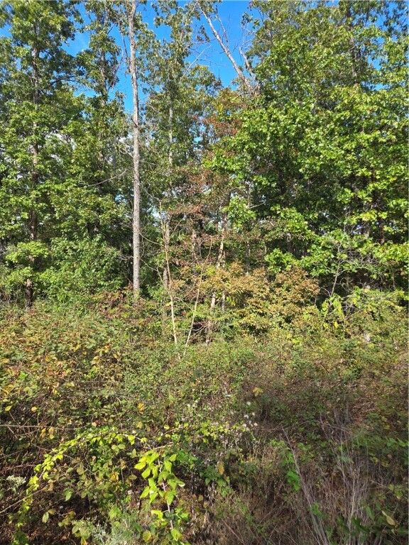 Lot 40 Glyndebourne Drive  Bella Vista AR 72714 photo