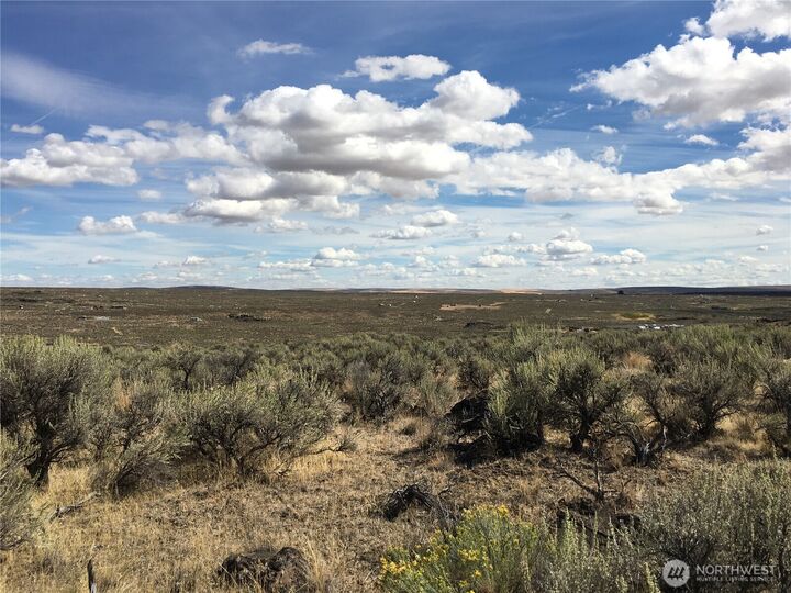 Property Photo:  12164  Remuda Drive  WA 98823 