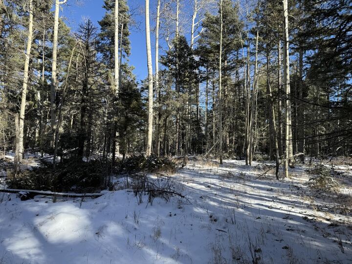 Property Photo: Lot 99 Zia NM 87710