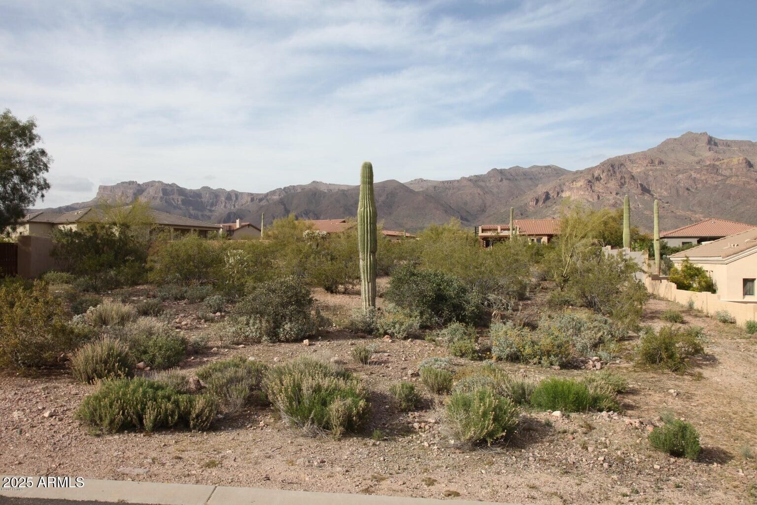 Property Photo:  10584 E Walking Stick Way 4  AZ 85118 