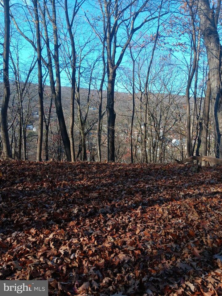 Property Photo:  Gray Avenue  MD 21502 