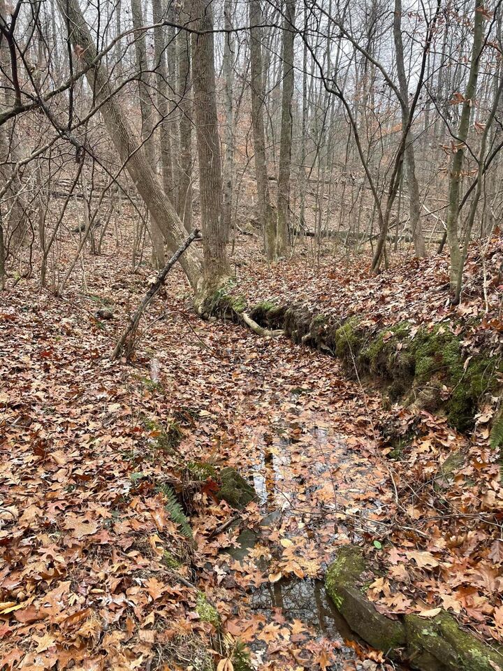 Property Photo: 0 McKee Hill Road OH 43822