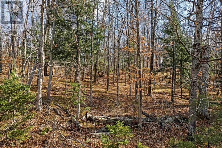 Property Photo:  Pt 3-00 Herron Mills Road  ON K0G 1K0 