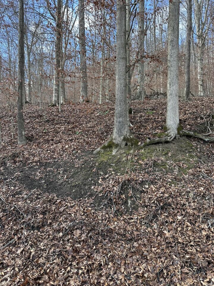 Property Photo:  Tbd North Fork Rd  KY 40380 