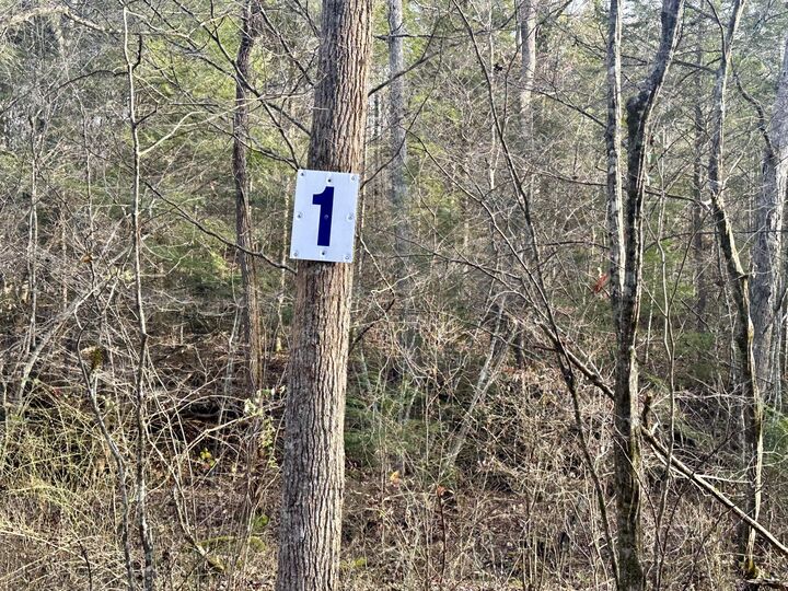 Property Photo:  Lot 1 Radford Road  KY 40729 