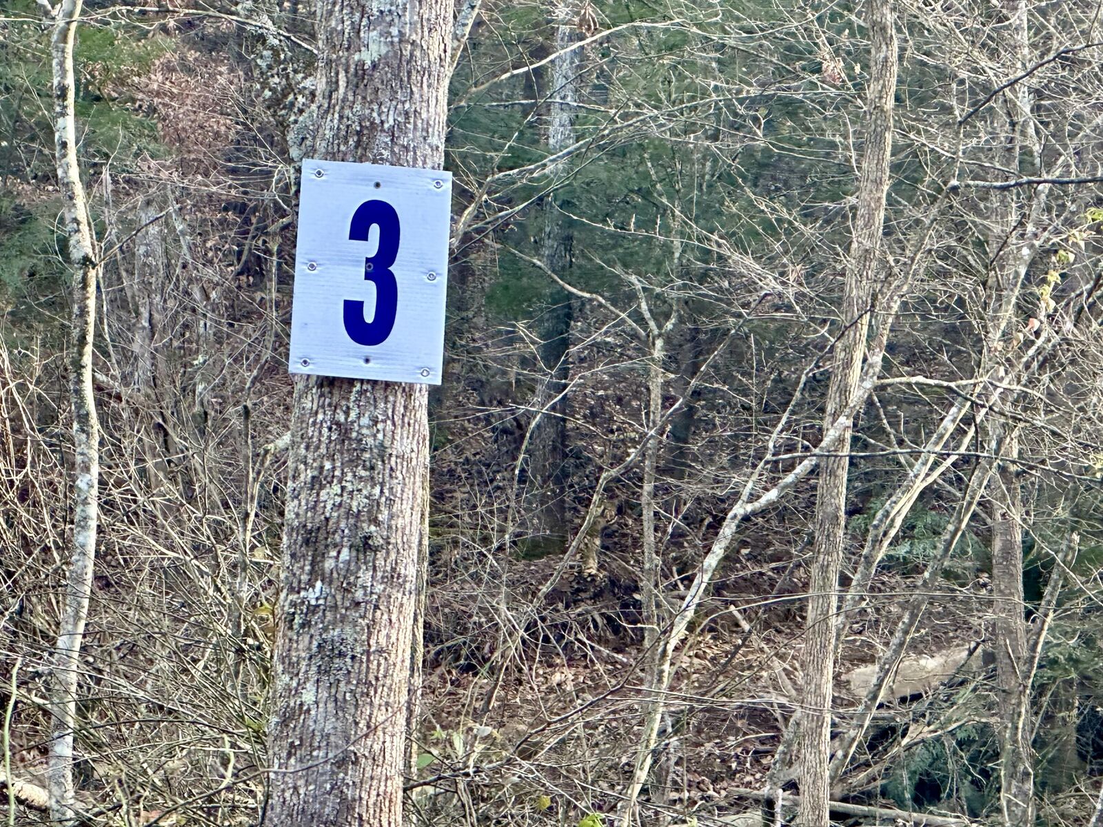 Property Photo:  Lot 3 Radford Road  KY 40729 