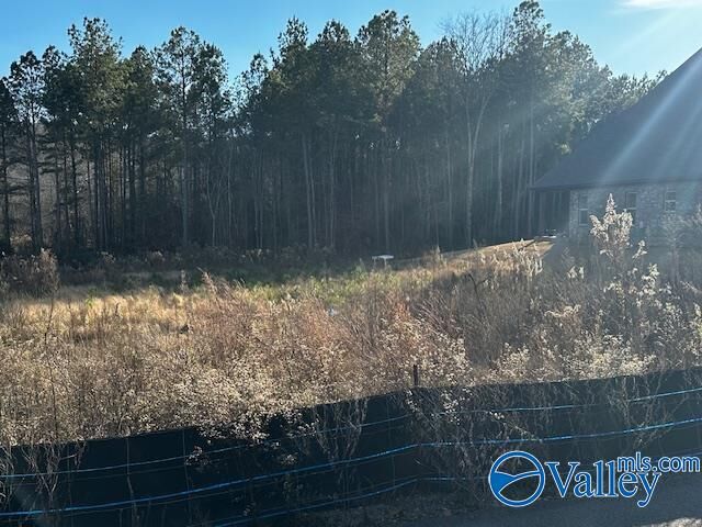 Lot 118 Cherokee Ridge Drive  Cherokee Ridge AL 35175 photo