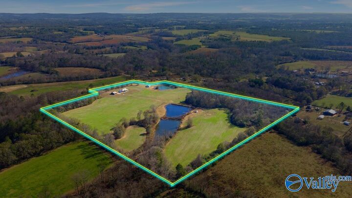 Property Photo:  1283 Moman Road  AL 35980 