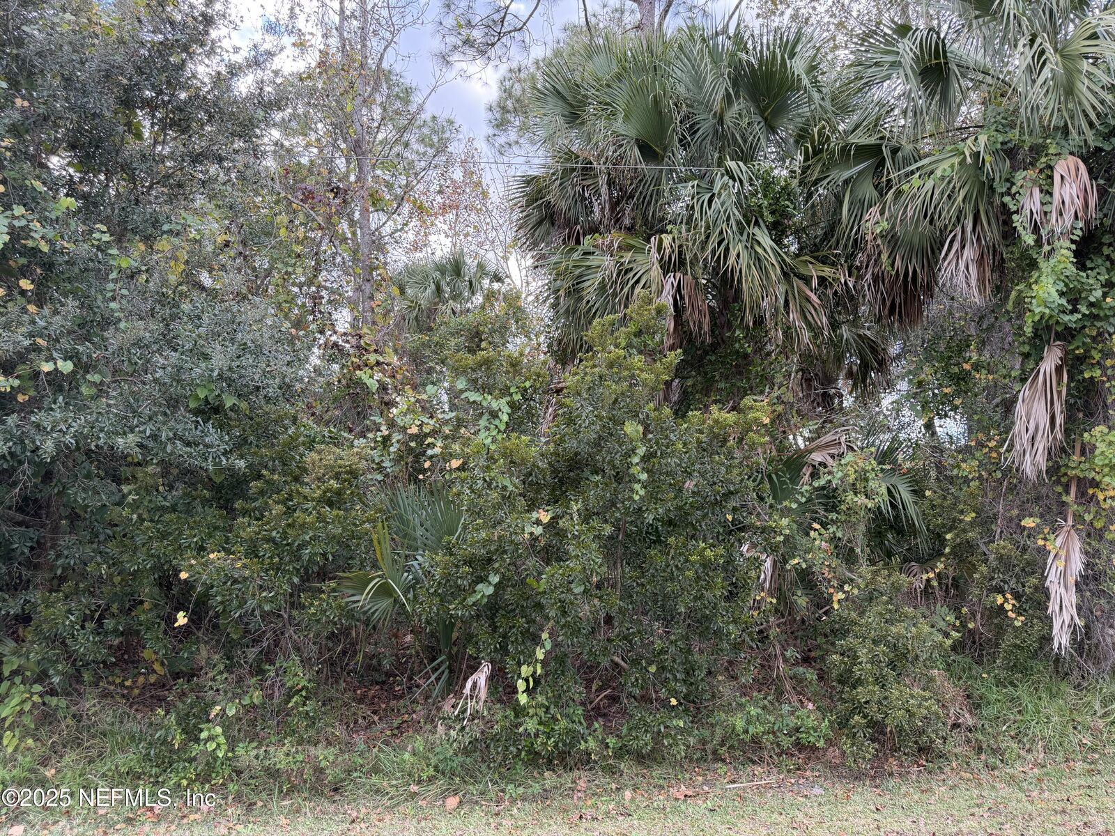 Property Photo:  22 Westglen Lane  FL 32164 