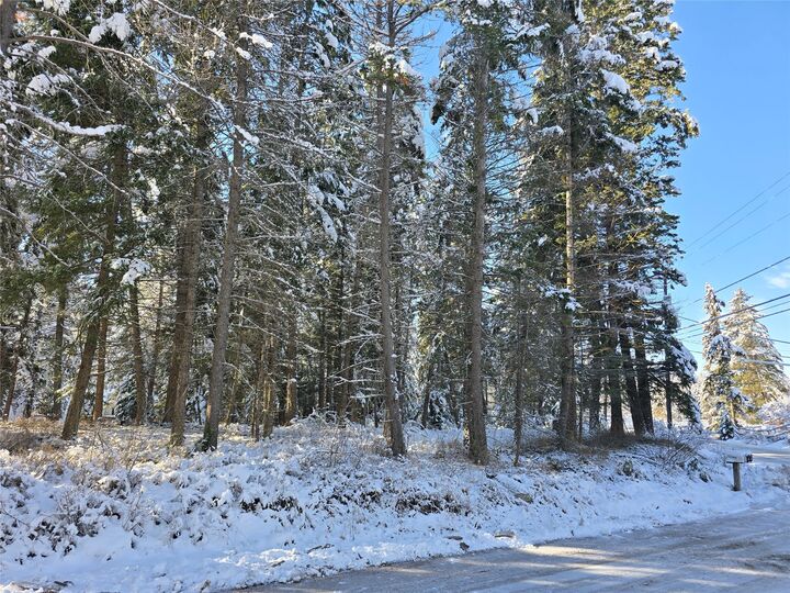 Property Photo:  272/268 Moose Trail  MT 59937 