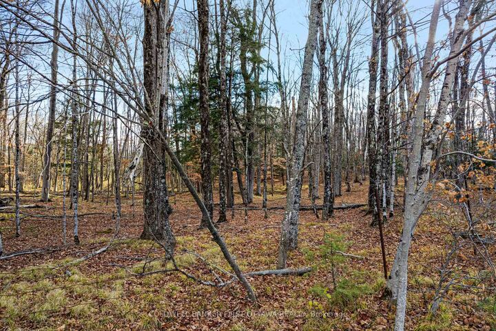 Property Photo: Pt 1-00 Herron Mills Road ON K0G 1K0
