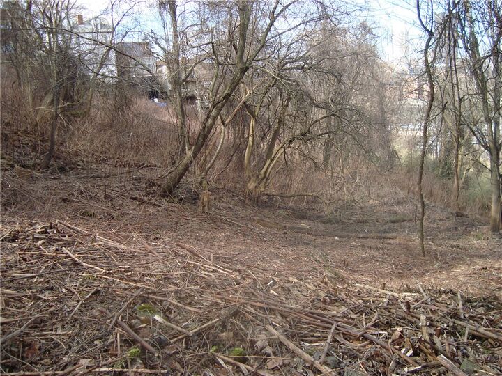 Property Photo: 0 Hartford St PA 15203