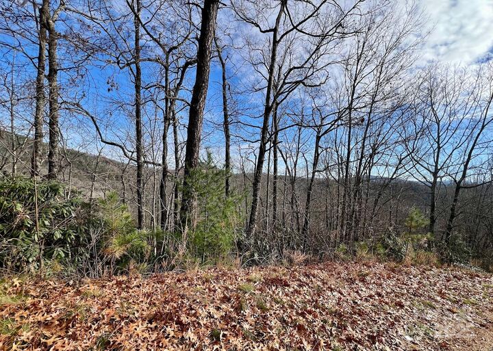 880 Ivy Lane  Pisgah Forest NC 28768 photo