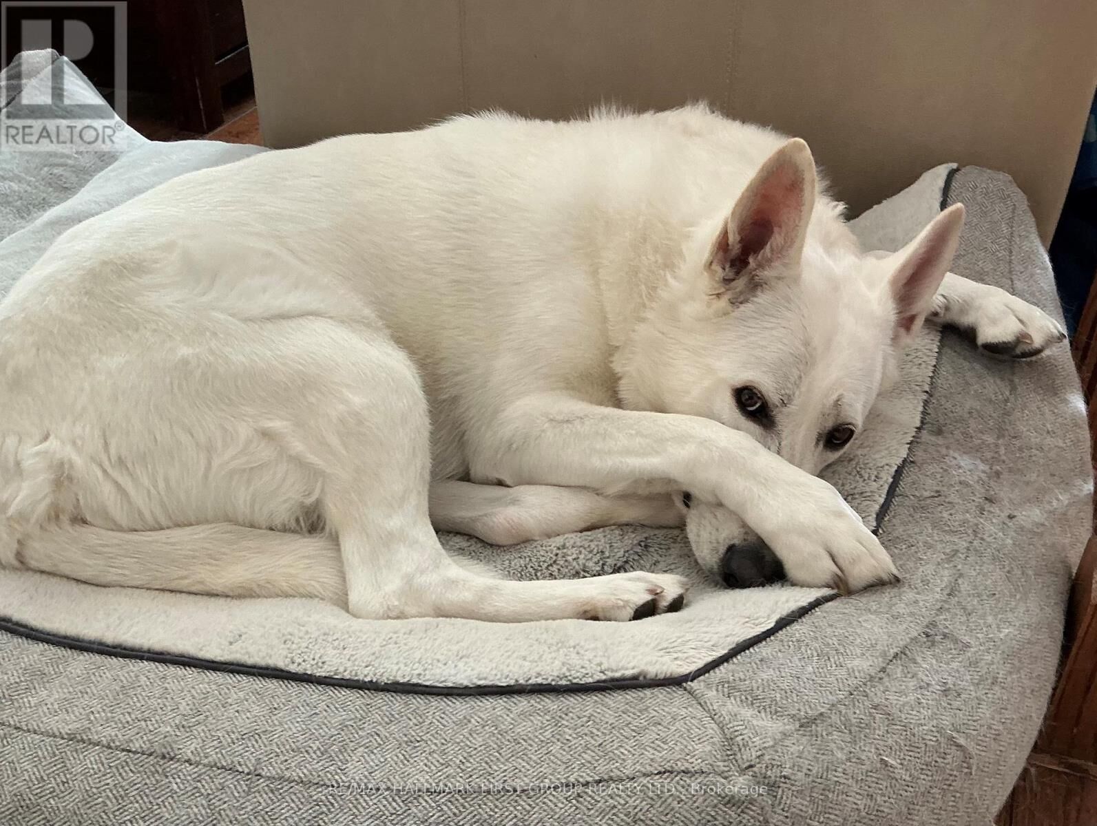 Property Photo:  361 Linden Street 1  ON L1H 6R6 