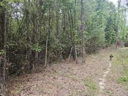 Property Photo:  2 Acres Tyner Ln  FL 32435 
