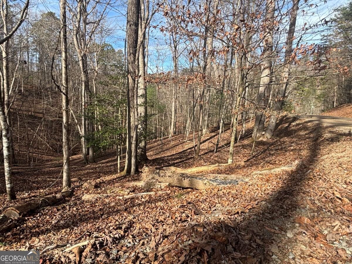 Property Photo: Lt 727 Armor Court GA 30540