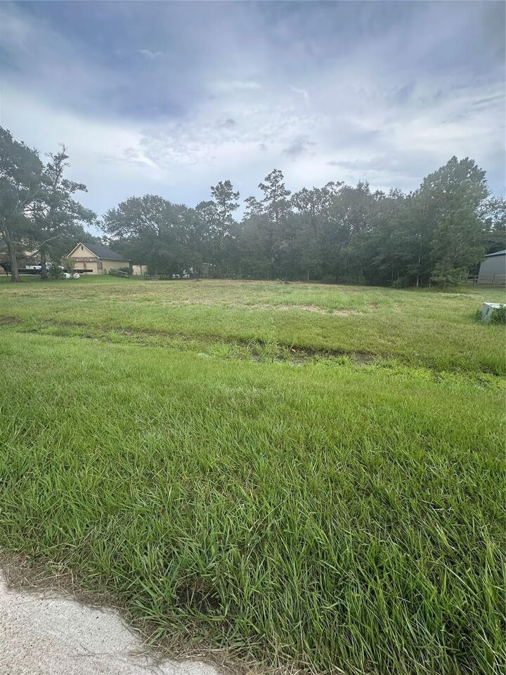 Property Photo:  7311 Bayou Timbers Drive  TX 77511 