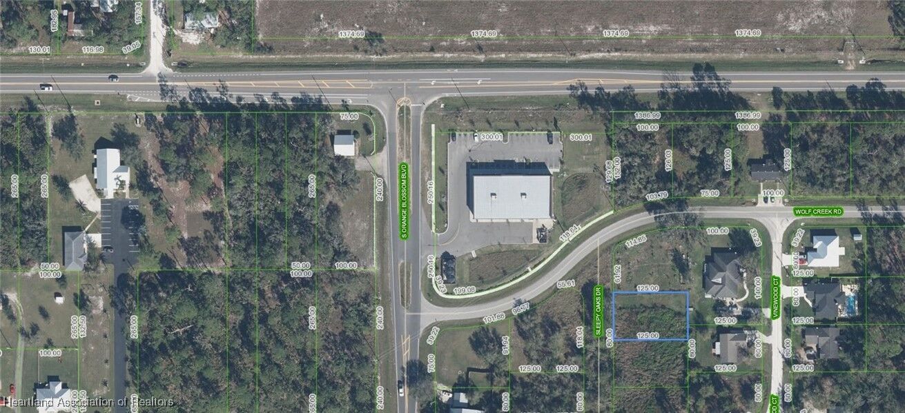 Property Photo:  9208 Sleepy Oaks Drive  FL 33875 