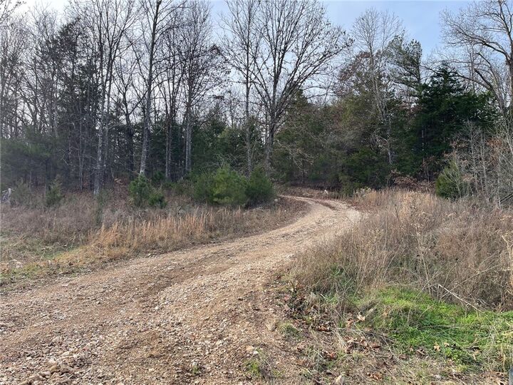 Property Photo:  Falcon Lane  AR 72616 