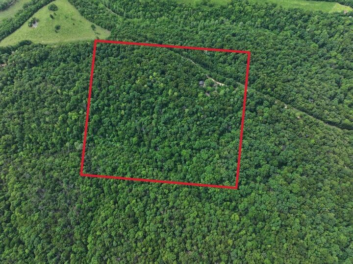 Property Photo:  1619A Stone Road  MO 64854 