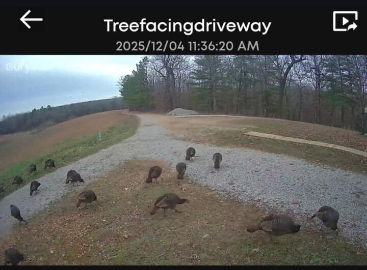 Property Photo:  2483 County Road 314  MO 65606 