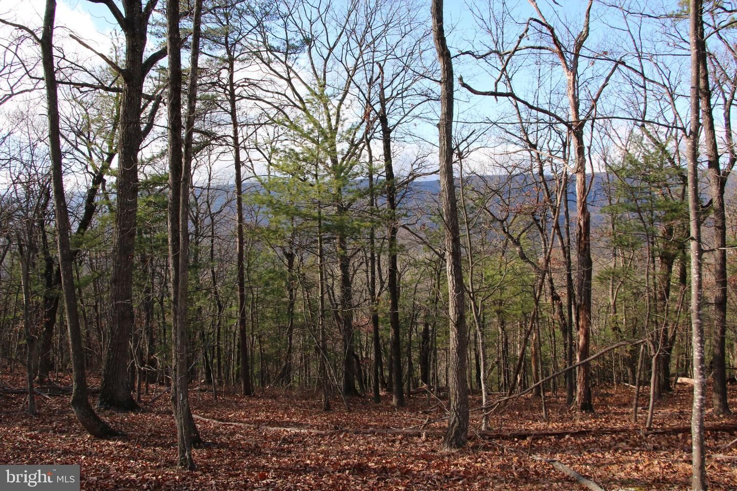 Property Photo:  Supinlick Ridge Road  VA 22842 