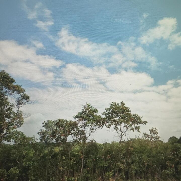 Property Photo:  5440 Winchester Southern Road  OH 43154 