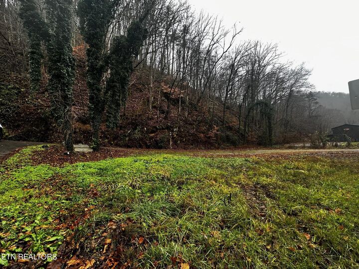 Property Photo:  0 Cherohala Skyway  TN 37385 