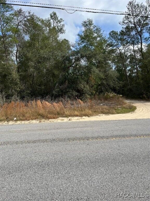 Property Photo: 3008 Collins Street FL 34452